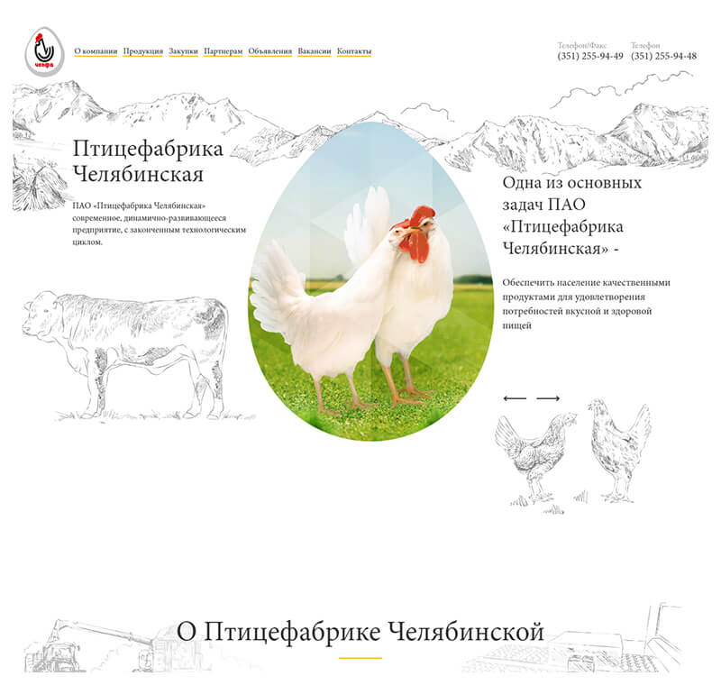 Сайт ПАО «Птицефабрика Челябинская» - после разработки