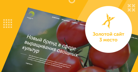 Проект &laquo;Дэкстры&raquo; занял третье место в конкурсе &laquo;Золотой сайт 2019&raquo;!