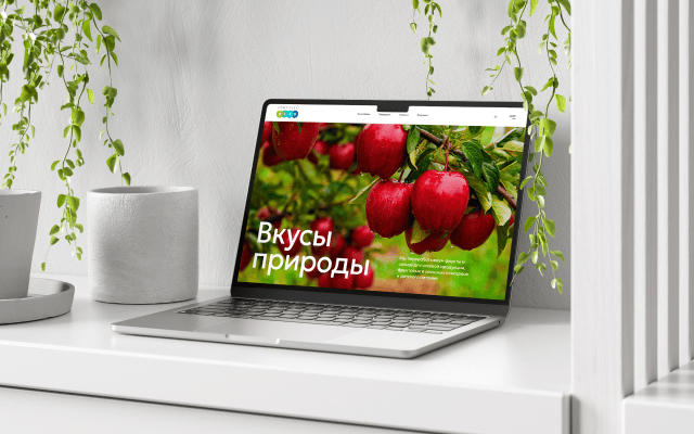 B2B-сайт для южного производителя соков и детского питания: ярко и со вкусом