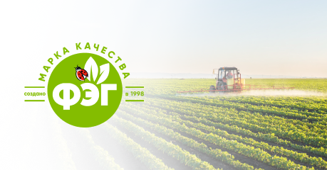 Свежий сайт для производителя натуральной продукции &laquo;ФерЭльГам&raquo;