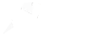 Callibri Callibri