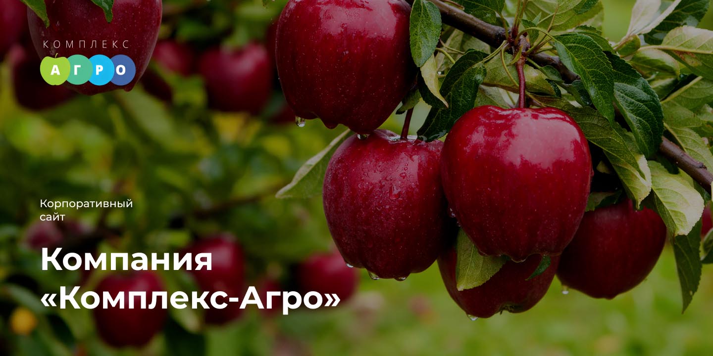 Компания &laquo;Комплекс-Агро&raquo; большая иллюстрация