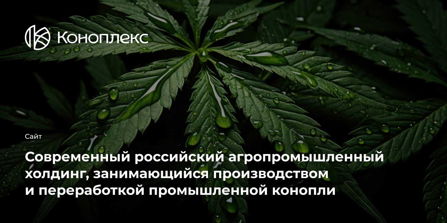 Холдинг &laquo;Коноплекс&raquo;