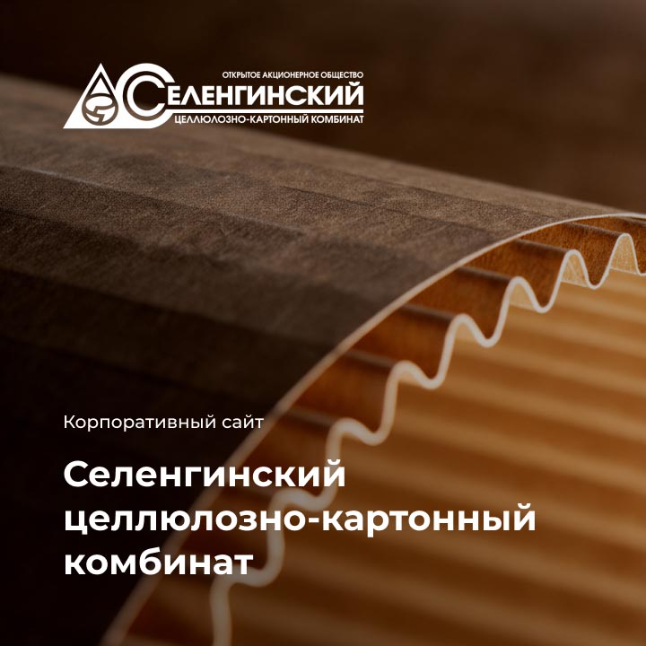 Селенгинский целлюлозно-картонный комбинат - мобильная версия