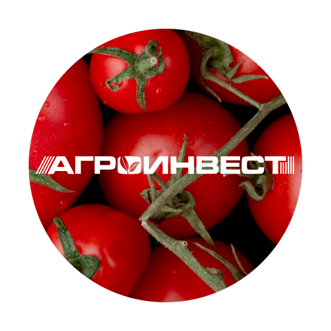 Тепличный комплекс &laquo;Агроинвест&raquo;, 2020 - логотип