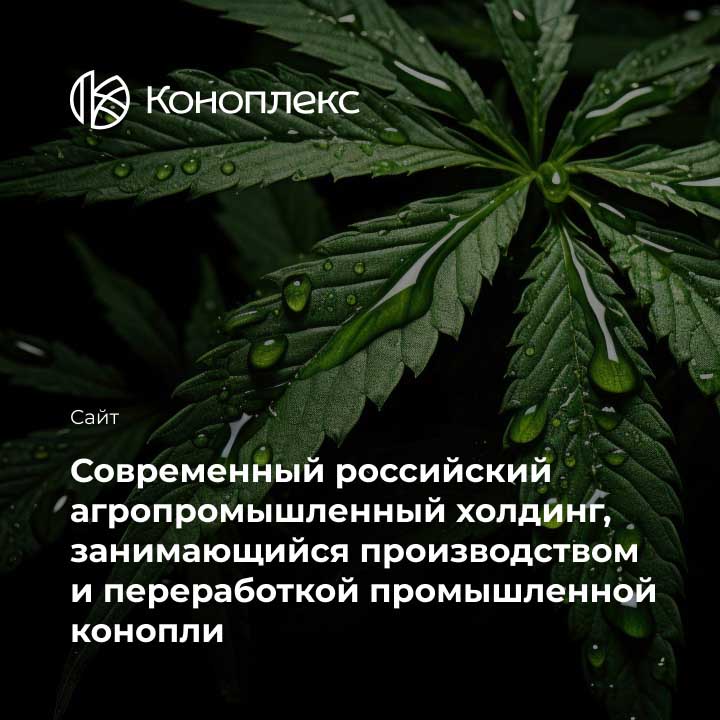 Холдинг &laquo;Коноплекс&raquo; - мобильная версия